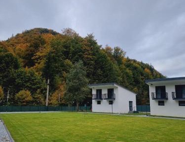 Junior Suite with Mountain View