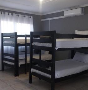 Bed in 6-Bed Dormitory Room