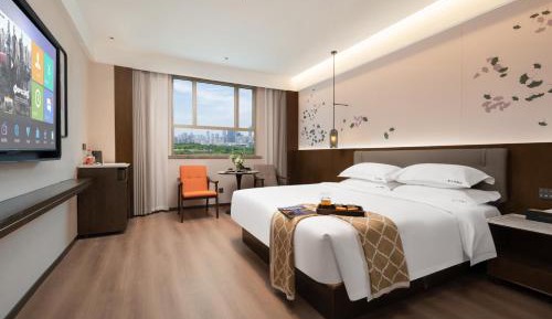 Standard Queen Room