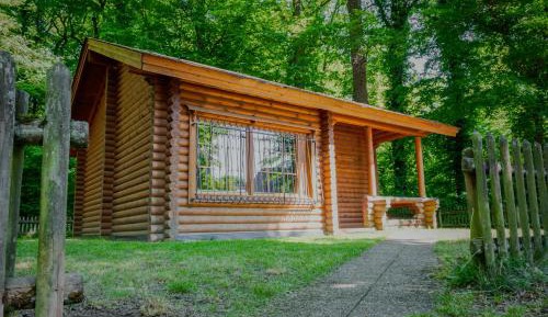 One-Bedroom Chalet
