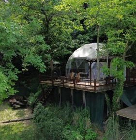 Tent with Forest view