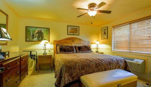One-Bedroom Suite