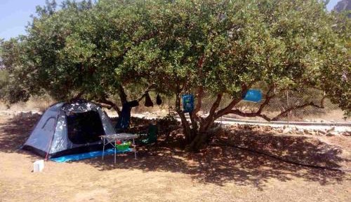 Tent