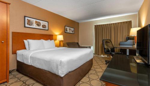 Queen Room - Pet-Friendly