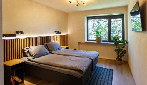 Deluxe Double or Twin Room with Garden View