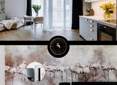 One-Bedroom Premium Apartment