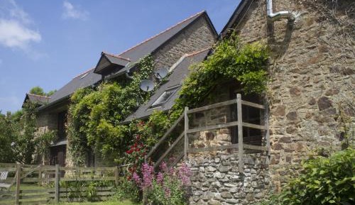 Cottage (9 Adults)