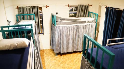 Bed in 8-Bed Mixed Dormitory Room