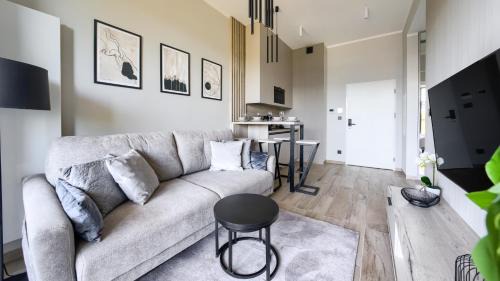 Deluxe One-Bedroom Apartment