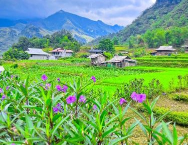 Double Room with Mountain View