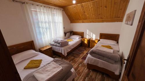 Basic Triple Room