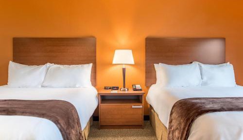 Double Room - Non-Smoking 