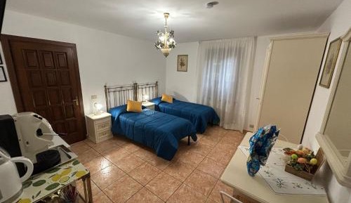 Double or Twin Room