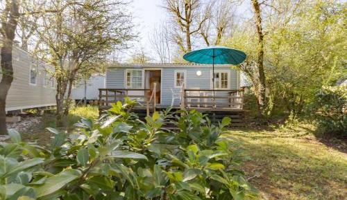 Mobile Home