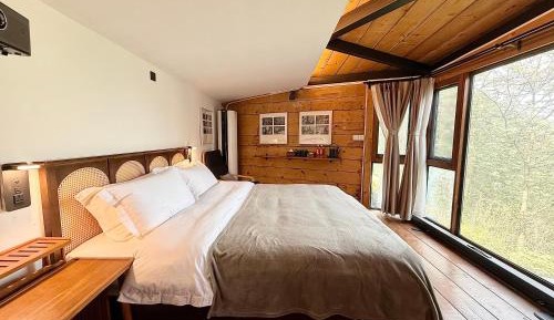 Junior Suite with Terrace
