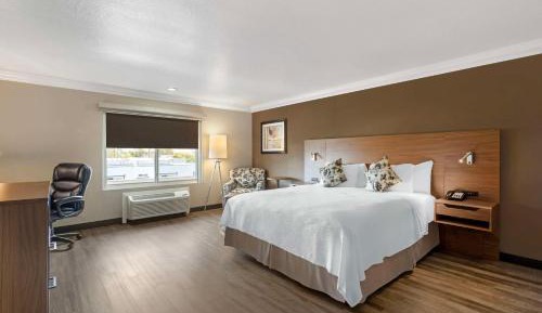 King Room with Wet Bar