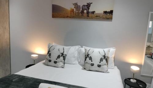 Deluxe Queen Room