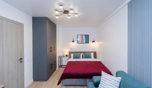 Deluxe One-Bedroom Apartment