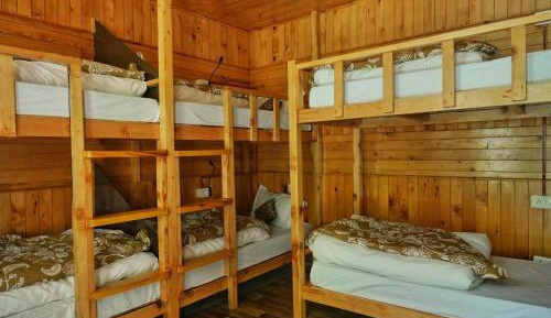 Bed in 6-Bed Mixed Dormitory Room