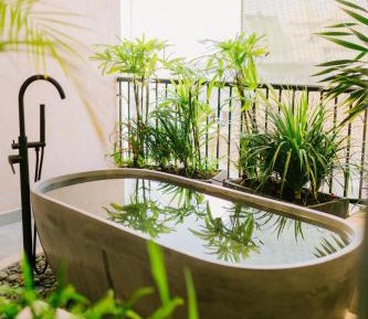 King Room with Spa Bath