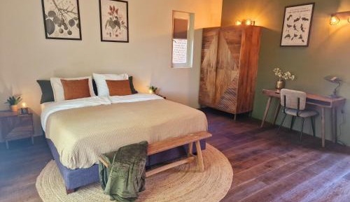 Double Room with Terrace