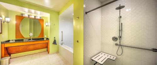 Suite - Mobility Access Roll in Shower/Non-Smoking