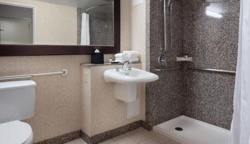 Traditional King Room with Roll-in Shower - Mobility and Hearing Accessible