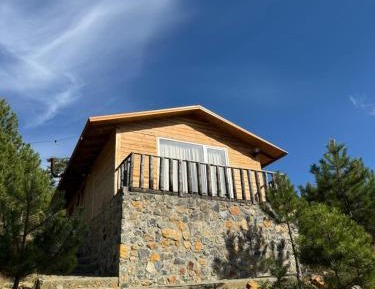 Superior Villa