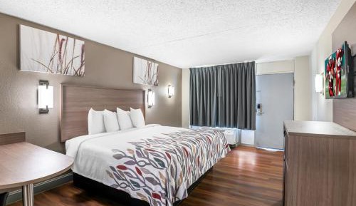 Superior King Room Smoking