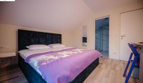 Deluxe Room (2 Adults + 1 Child)