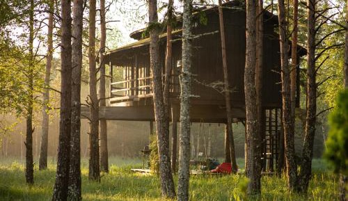 Treehouse