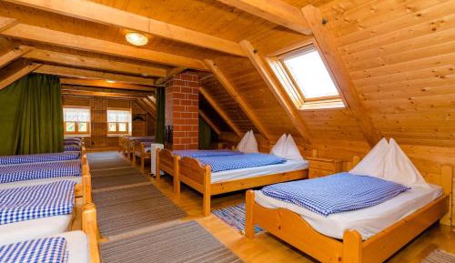 Bed in 8-Bed Dormitory Room