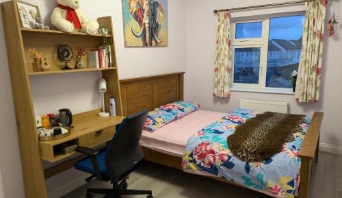 King Room with Garden View