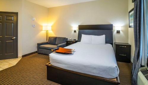 Queen Suite