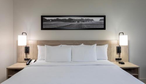 One-Bedroom Suite