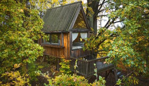 One-Bedroom House