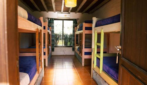Bed in 8-Bed Dormitory Room