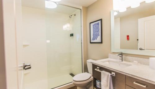 One-Bedroom King Suite with Sofa Bed