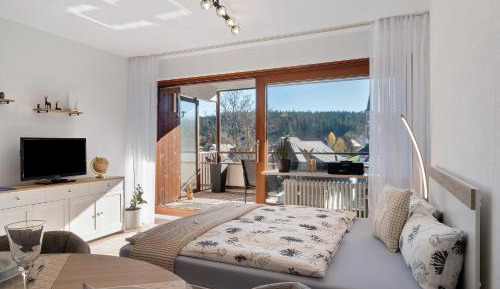 Superior One-Bedroom Apartment with Balcony