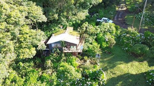 Villa (12 Adults)