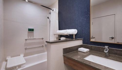 Suite, 1 King, Sofa bed