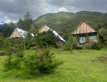 Deluxe Double or Twin Room with Garden View