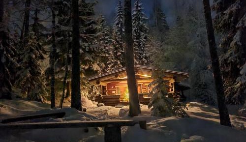 One-Bedroom Cottage with Sauna