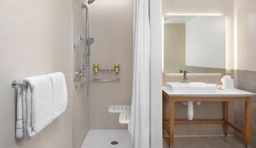 Deluxe King Room with Transfer Shower - Mobility Accessible