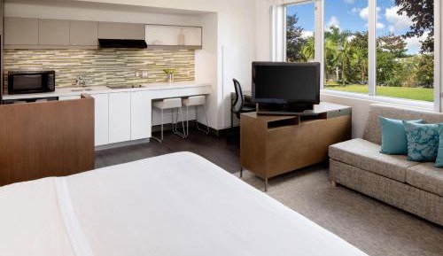 Studio, 1 King, Sofa bed