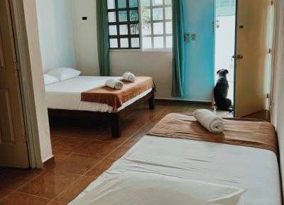 Double Room with Private Bathroom