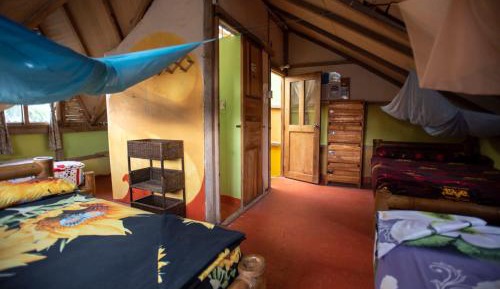 Bed in 4-Bed Mixed Dormitory Room