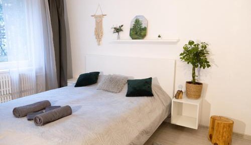 One-Bedroom Apartment with Balcony