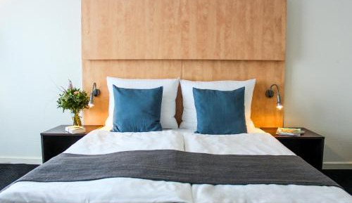 Standard Double Room +