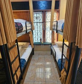 Bunk Bed in Mixed Dormitory Room